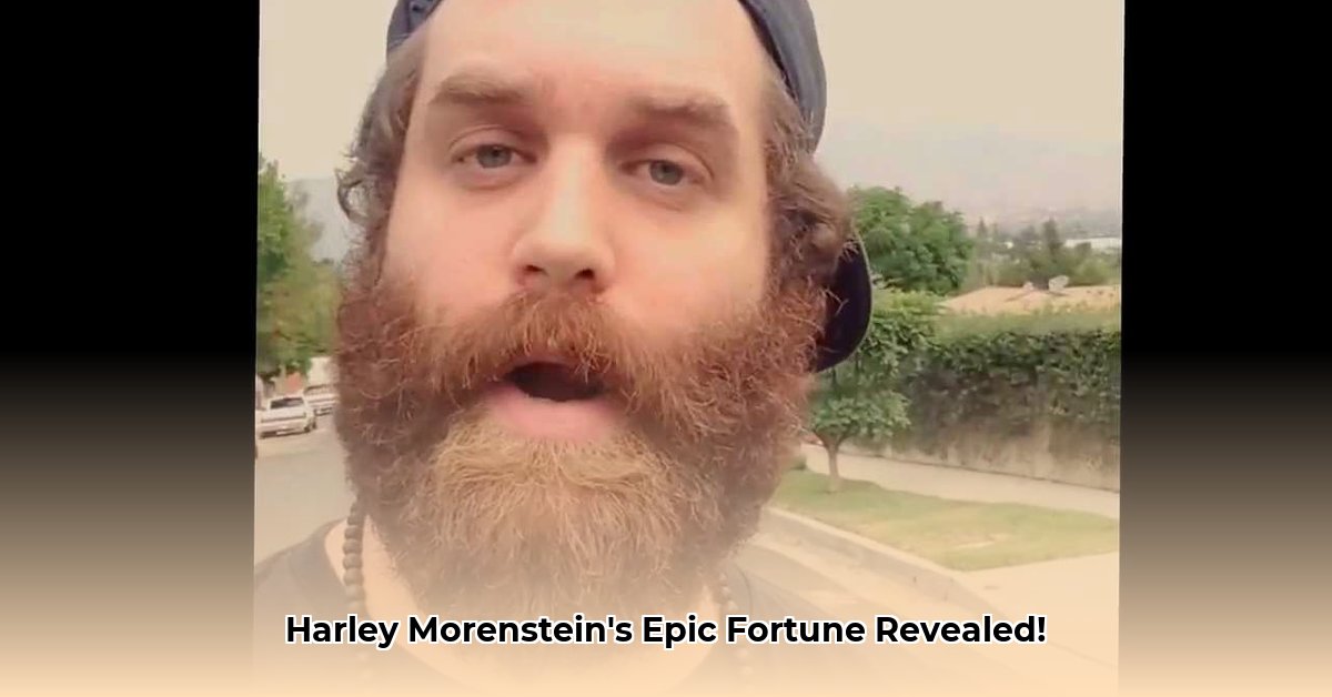 harley-morenstein-net-worth